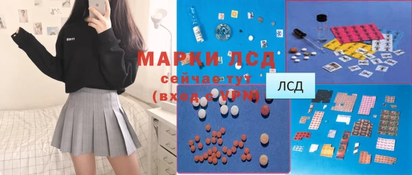 гашик Новокубанск