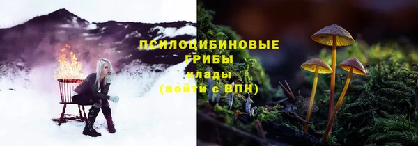 гашик Новокубанск