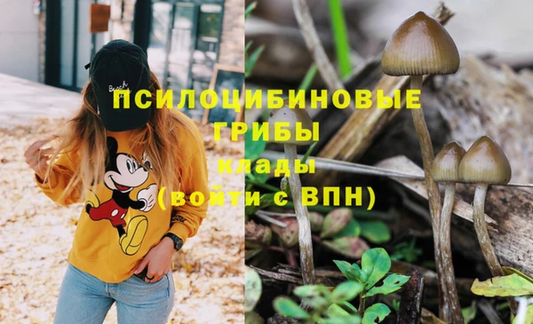 a pvp Новодвинск