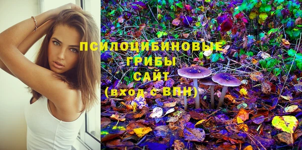 гашик Новокубанск