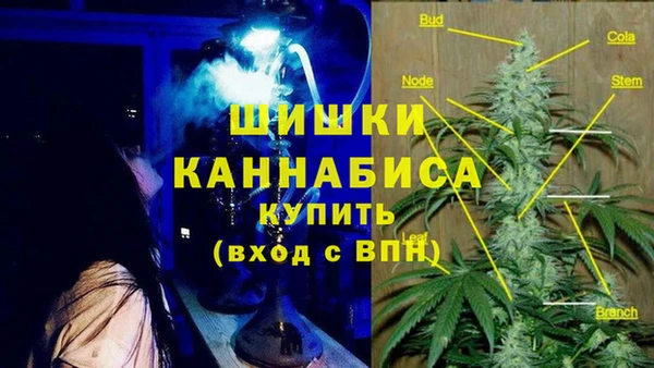 гашик Новокубанск