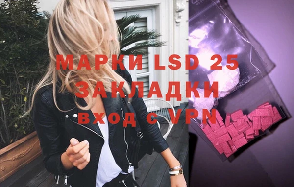 a pvp Новодвинск