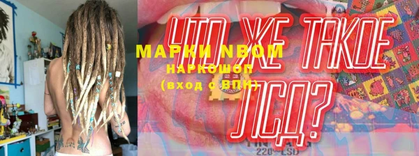 гашик Новокубанск
