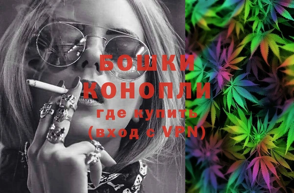 PSILOCYBIN Гатчина